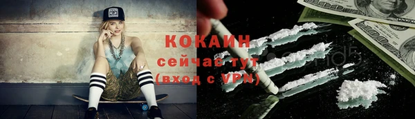 спиды Няндома