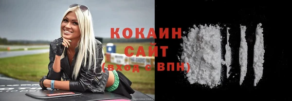 спиды Няндома