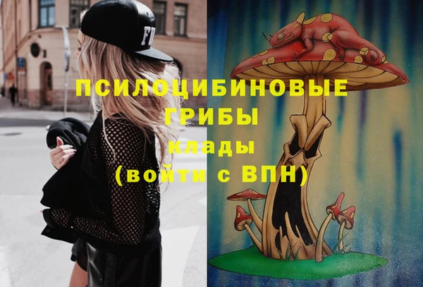 спиды Няндома