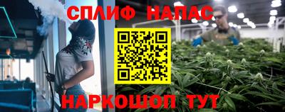 спиды Бийск