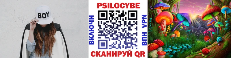 Псилоцибиновые грибы Psilocybe  где купить   Вольск 