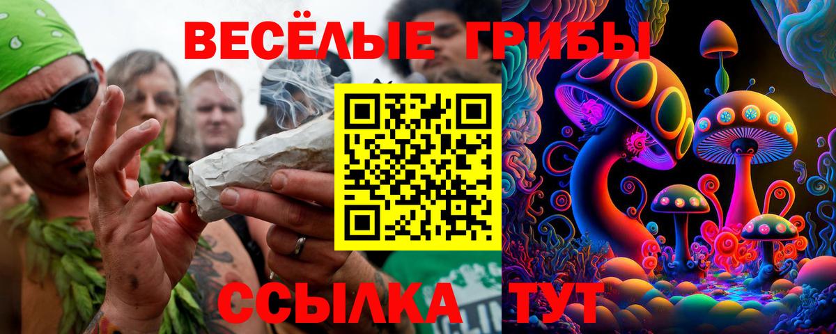 Псилоцибиновые грибы мухоморы Вольск