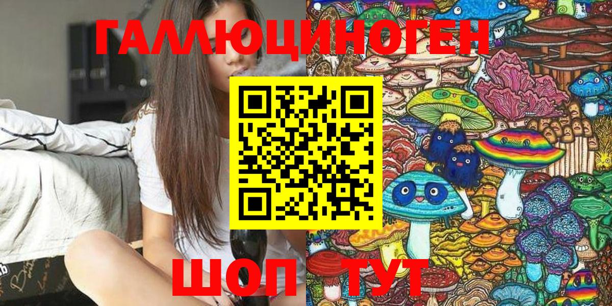 Псилоцибиновые грибы Psilocybe  закладка  Вольск 