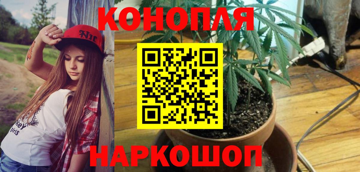 Вольск  Канабис Amnesia  Бошки Шишки AK-47  Вход с VPN  МАРИХУАНА VHQ 
